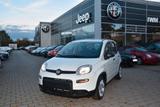 Fiat Panda Hybrid 1.0 GSE - gebrauchte Fiat Panda aus dem Jahr 2023