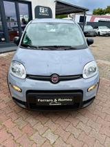 Fiat Panda Hybrid 1.0 GSE 51kw Service Neu - Fiat Panda Gebrauchtwagen in Bochum