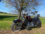 Harley-Davidson FLSTS Heritage Softail Springer - Angebote entsprechen deinen Suchkriterien