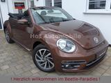 Volkswagen Beetle 1.2TSI Allstar Kamera Navi AppC Allwetter - Volkswagen Beetle: Allstar