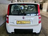 Fiat Panda 1.2 4X4 CLIM - Fiat Panda: 4.4