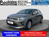 Kia Rio 1.2 Edition 7 DAB SHZ LenkradHZG Tempomat Kl