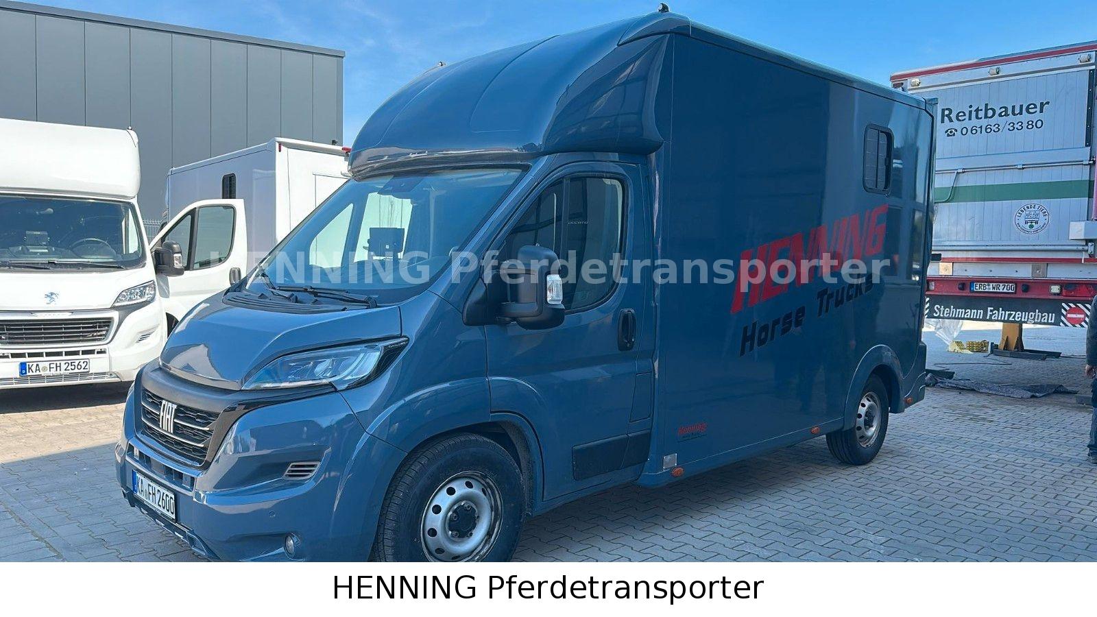 Fiat Ducato 2 - Sitzer PFERDETRANSPORTER