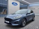 Ford Phev ST-Line, Panorama-Dach,Winterpaket, uvm. - mit Hybrid-Antrieb: Panorama Dach