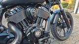 Indian Chief Dark Horse - INDIAN CHIEF DARK HORSE