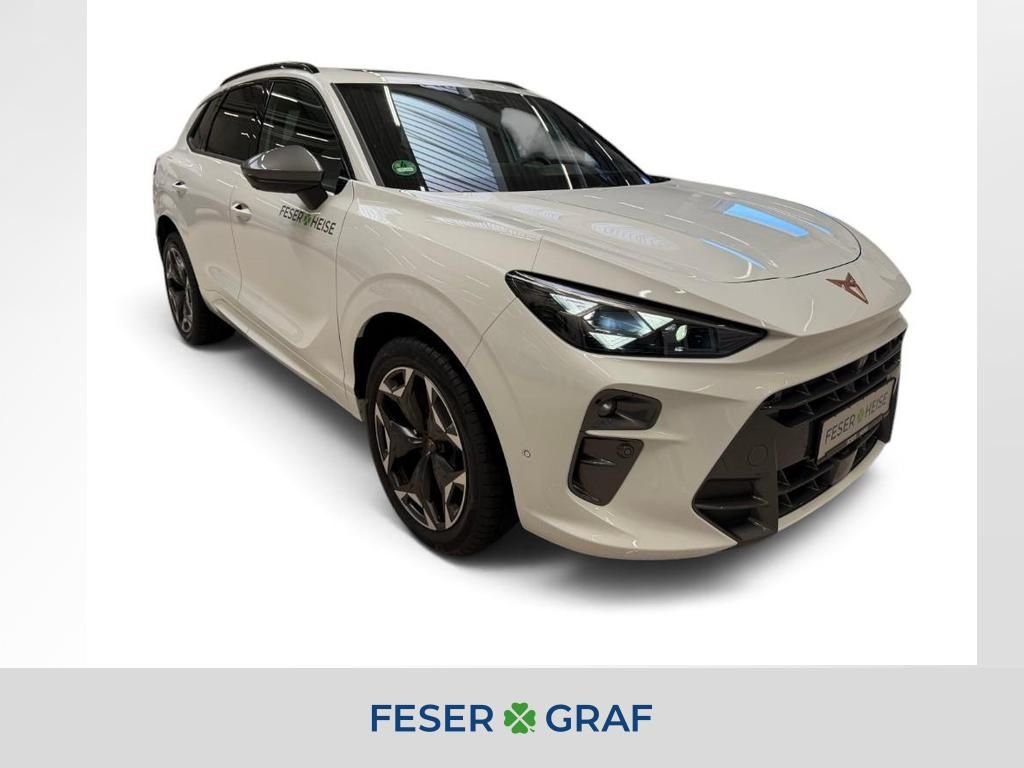 Image of Cupra Terramar