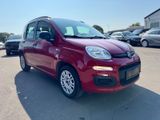 Fiat Panda 1.3 DIESEL*EASY-LINE*5-TÜRIG*KLIMA*EURO 6* - Fiat Panda: 5.5
