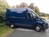 Fiat Ducato - blaue Fiat Ducato