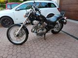 Yamaha Virago 535 TÜV 05/28 - YAMAHA 1994 VIRAGO 535