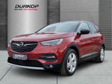 Opel Grandland X 1.2 Turbo 120 Jahre Winterpaket Rück - Opel in Braunschweig