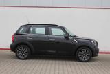 MINI Cooper Countryman 1.Hand PANO Navi Black Line - gebrauchte Mini SUV & Geländewagen