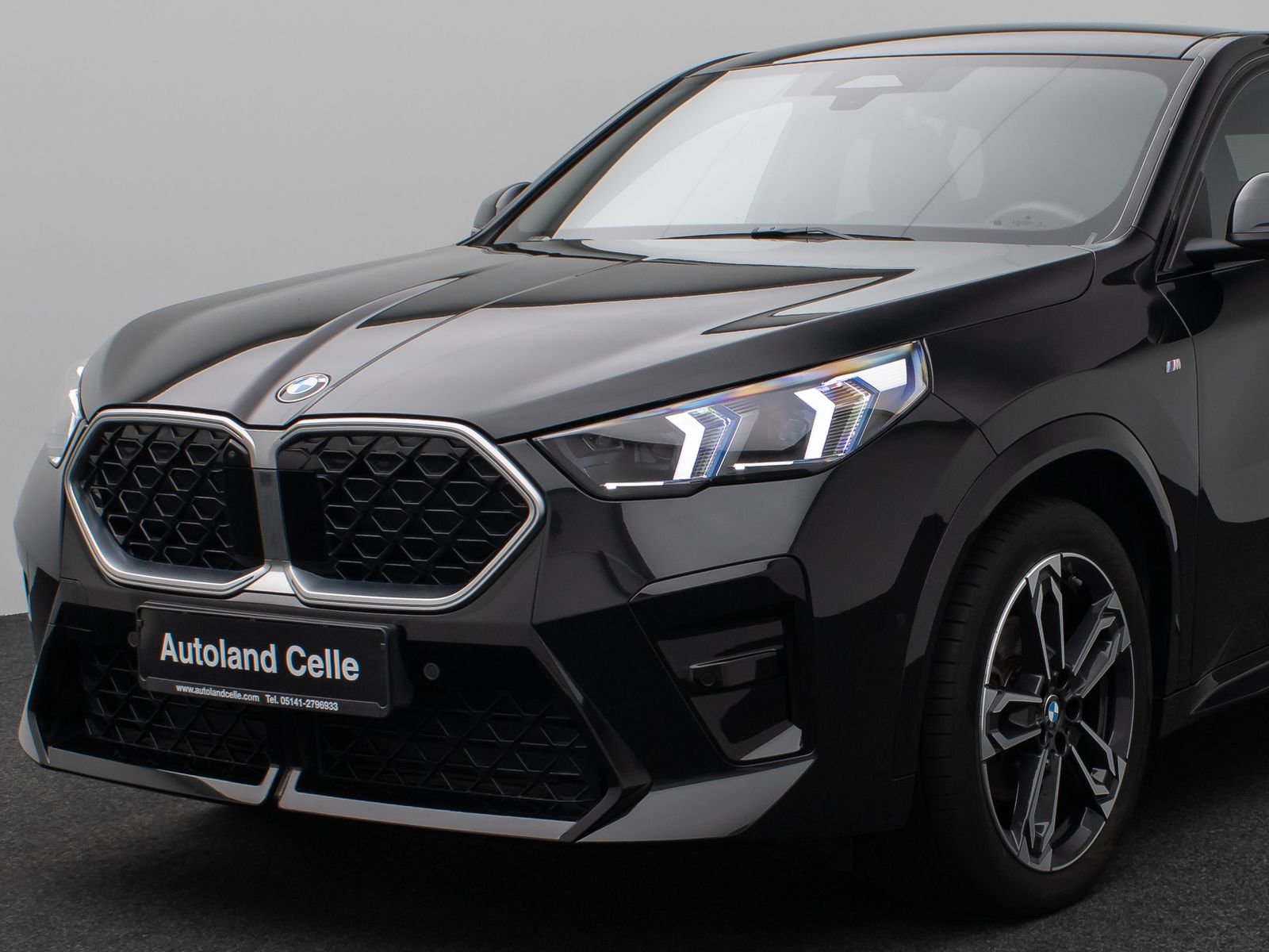 Fahrzeugabbildung BMW X2 xD20d M Sport Panorama 360°HUD DAB H/K 19Zoll