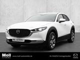 Mazda CX-30 2025 2.5L e-SKYACTIV G 140ps 6MT FWD Exclu