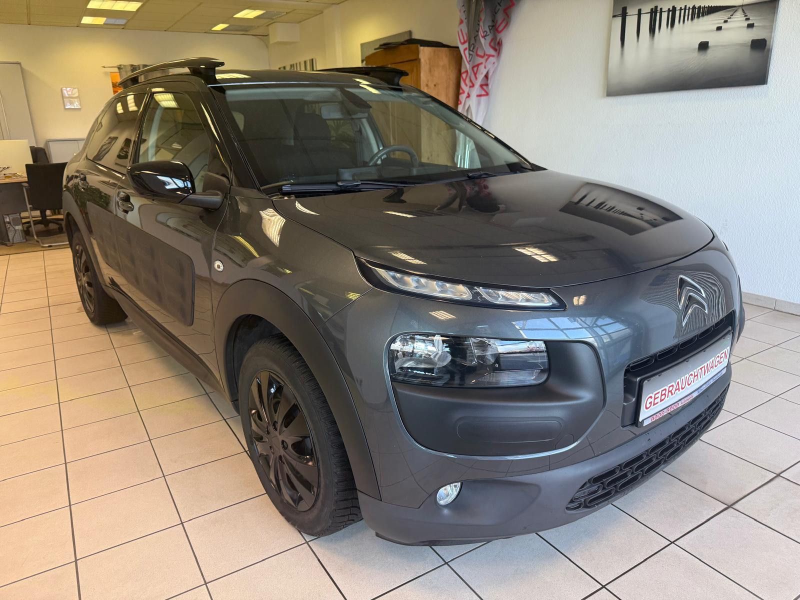 Fahrzeugabbildung Citroën C4 Cactus Shine/ KAMERA/NAVI/8.FACH BEREIFT