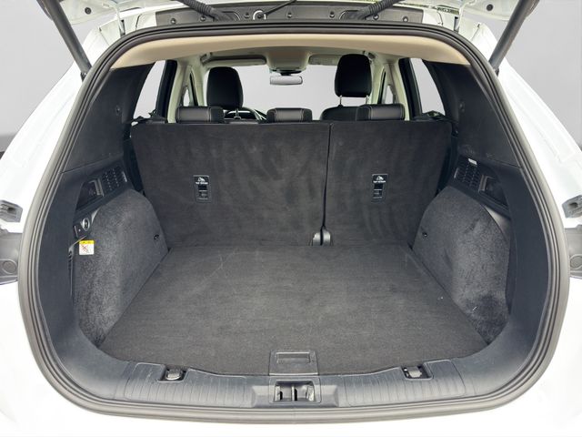 Fahrzeugabbildung Ford Kuga 1,5 TitaniumX LED+Kamera+Stop&Go+Winter+AHK