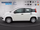 Fiat Panda 1.0 Pandina Icon PDC, TEMPOMAT, BLUETOOTH - Fiat Panda Tageszulassungen
