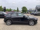 Mazda CX-30 SKYACTIV-G 2.0 M Hybrid Selection - Mazda CX-30 aus 2019
