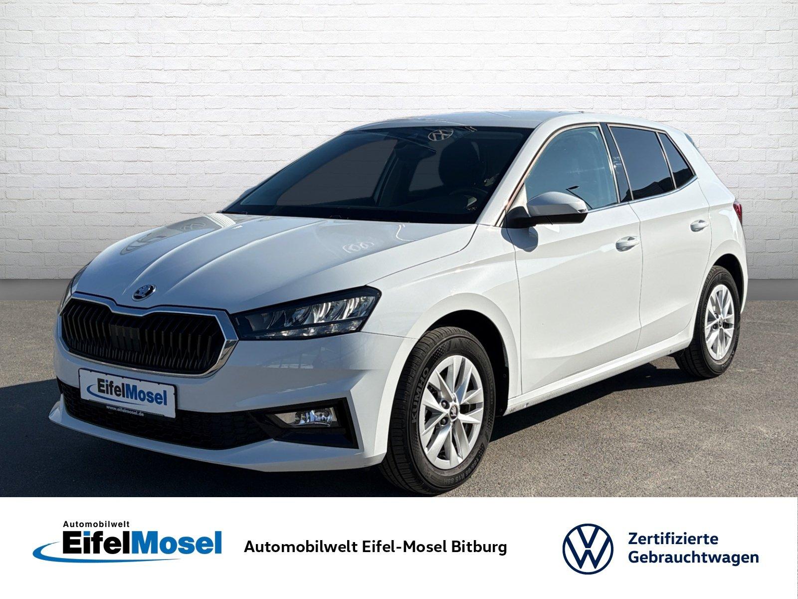 Skoda Fabia 1.0 TSI Selection DSG Privacy Verglasung L