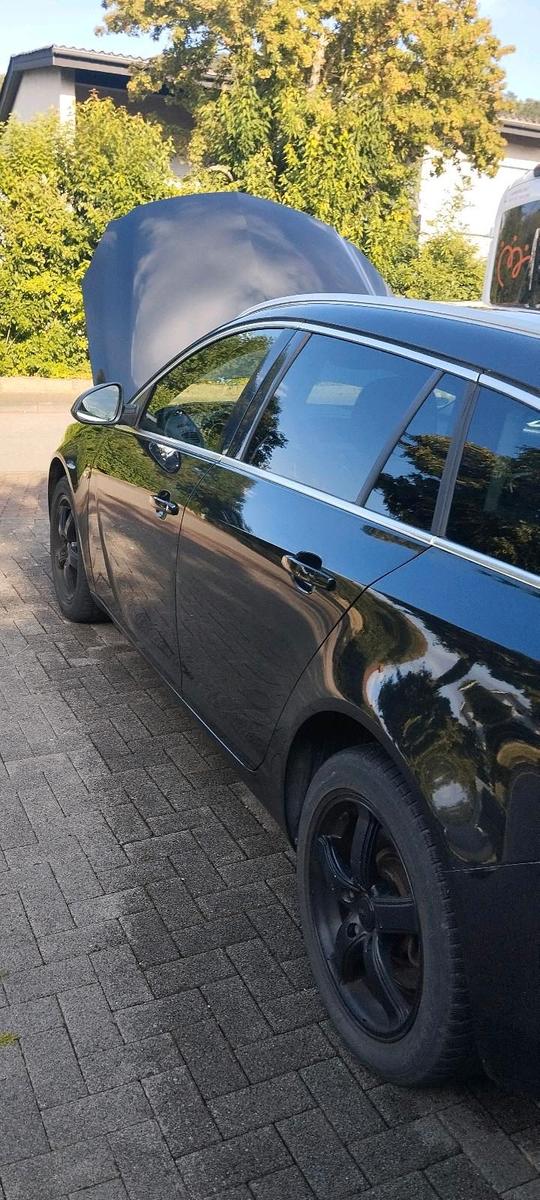 Opel Insignia 2012 — rear view