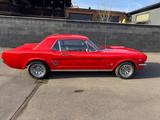 Ford Mustang V8 Schalter TOP H-Zulassung  - Ford Mustang aus 1966: Coupe