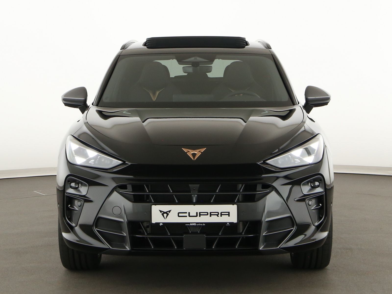 Cupra Terramar - Bild 3