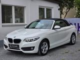 BMW 220i Cabrio Advantage * Harman Kardon*Leder*PDC - BMW 220 in Nürnberg