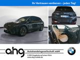 BMW iX xDrive40 AHK PanoSky SoftClose - BMW iX mit Anhängerkupplung