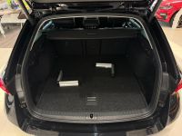 Skoda Octavia - Vorschau Bild 6