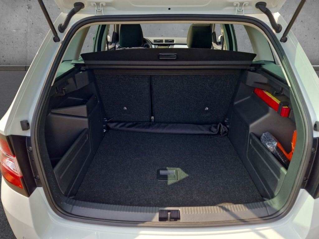 Fahrzeugabbildung SKODA Fabia Combi 1.0 TSI Ambition Pano Navi Klimaauto