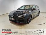 Hyundai i30 2.0 T-GDI N Performance N-Schalensitz|Navi|R - Hyundai i30 Gebrauchtwagen in Chemnitz