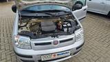 Fiat Panda 1.2 8V Dynamic - Fiat Panda aus 2010