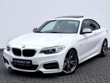 BMW M235 i /NAVI/LED/CAM/H&K/1.HAND/GARANTIE - BMW: M1