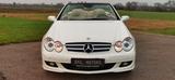 Mercedes-Benz CLK 350 CABRIO HARMAN KARDON - Mercedes-Benz: Cabrio, Clk