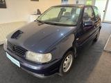 Volkswagen Polo 1.0 Servo Youngtimer SD Top Zustand - Volkswagen: Youngtimer
