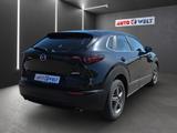 Mazda CX-30 2.0 M-Hybrid Basis 2WD Bose 360° Spurhalte - Mazda: 0