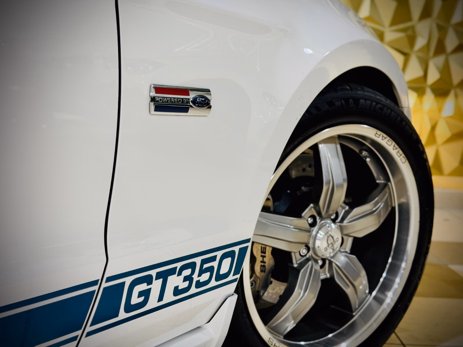 Ford Mustang Shelby American GT 350|624PS|CSM|SAMMLER