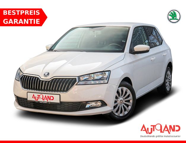 Skoda Fabia 1.0 TSI Ambition OPF Sitzheizung Klima