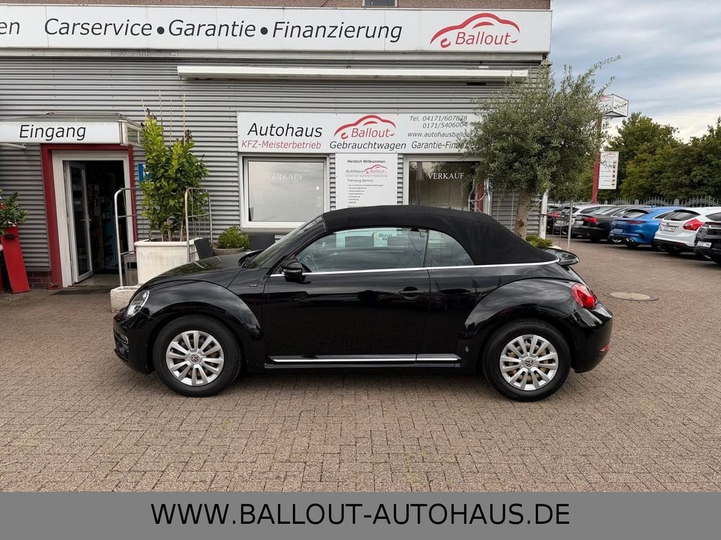 Image of Volkswagen Beetle
