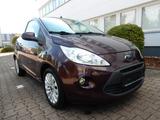 Ford Ka Titanium-Panorama - Ford Ka/Ka+ in Gelsenkirchen