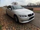 BMW 318i Cabrio/e93/SCHECKHEFT/VOLLEDER/TOP GEPFLEGT - BMW 318: 93 318i