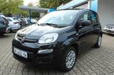 Fiat Panda Easy * Klima * PDC * 1. Hand * - Fiat Panda Gebrauchtwagen in Mülheim (Ruhr)