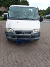 Fiat Ducato - Angebote entsprechen deinen Suchkriterien