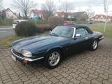 Jaguar XJS - Jaguar XJS Gebrauchtwagen