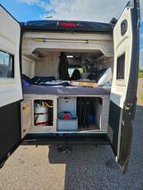 Bravia Swan 599 - Bravia Kastenwagen