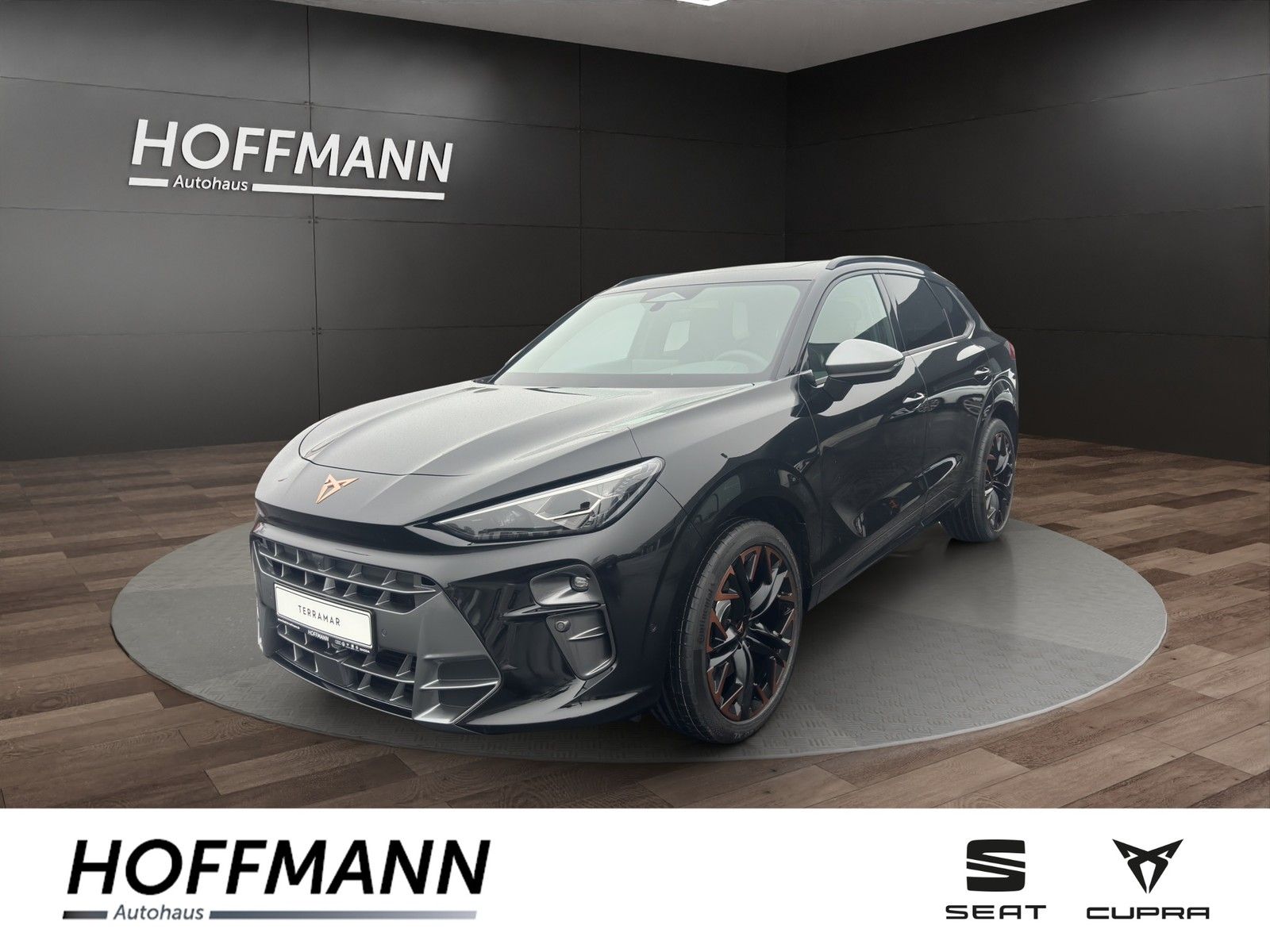 Fahrzeugbild von Cupra Terramar