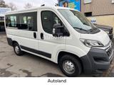 Citroën Jumper  9 - Sitzer   ORIGINAL  58000 KM  1. HD - Citroën Jumper mit Diesel-Antrieb: Kleinbus, 9 Sitzer