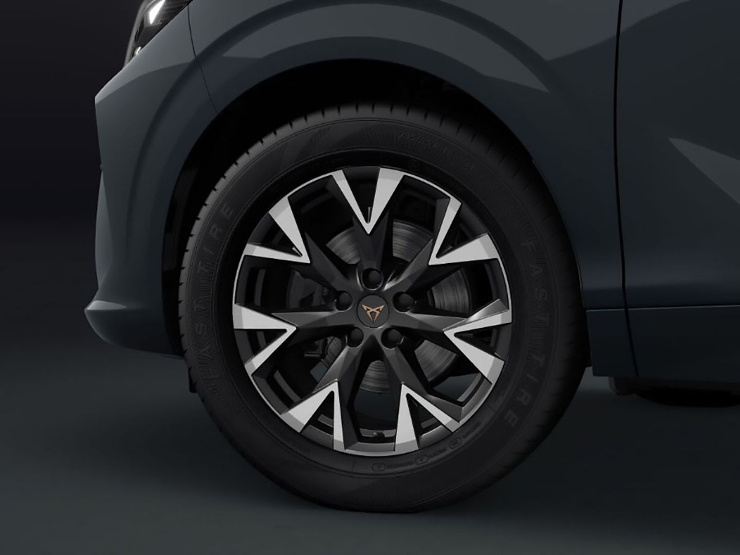 Cupra Terramar - Bild 5