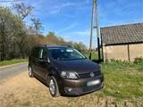 Volkswagen Touran 1,6 TDI BMT Match 7Sitzer - Volkswagen Touran: Match TDI
