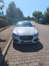 Jaguar XF 25d AWD 240PS R-Sport Sportbrake Auto. R-... - Jaguar XF in Köln