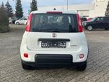 Fiat Panda Base / Radio, Bluetooth, Klima, elektr. FH - Fiat Panda in Chemnitz